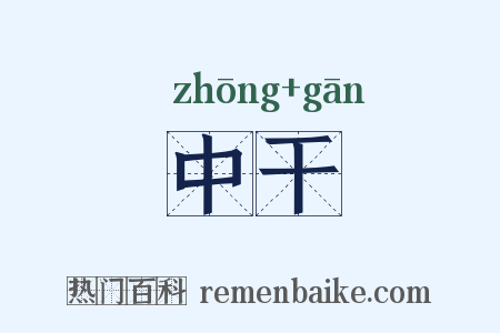 中干是什么意思的图片